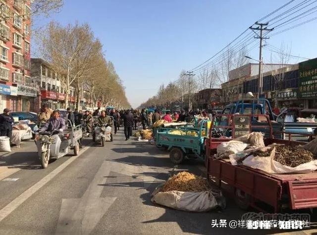 中药逐渐火了，今年种中药会卖个好价钱吗