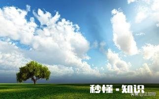 哈尔滨的房子降价还会降价吗