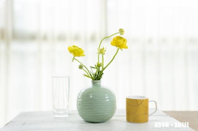 你有听过哪些感人的句子