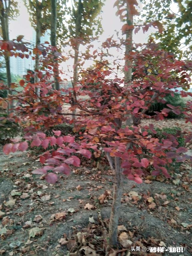 你有听过哪些感人的句子