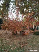 你有听过哪些感人的句子