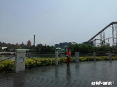 喜欢一个女孩子，但是不敢去表白，还没有正式认识，有啥建议