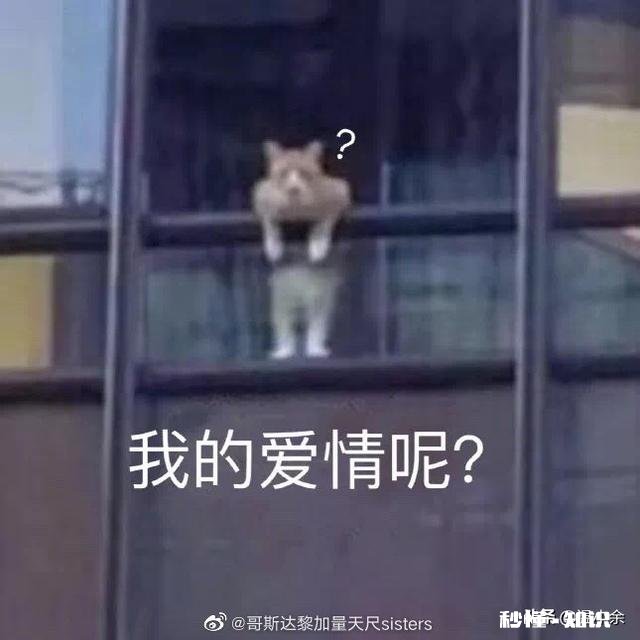 喜欢一个女孩子，但是不敢去表白，还没有正式认识，有啥建议