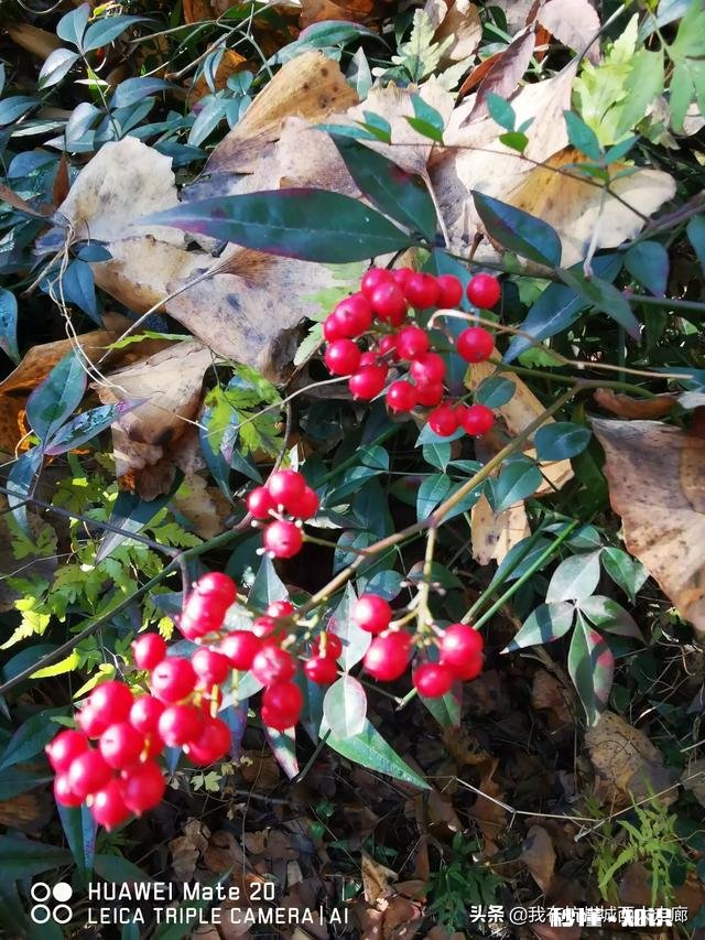 我和宝宝所有的开销一个月差不多3000左右，多不多，什么水平