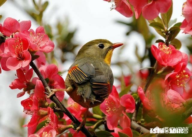 过年第一次和亲家见面，作为男方父母需要备什么礼品