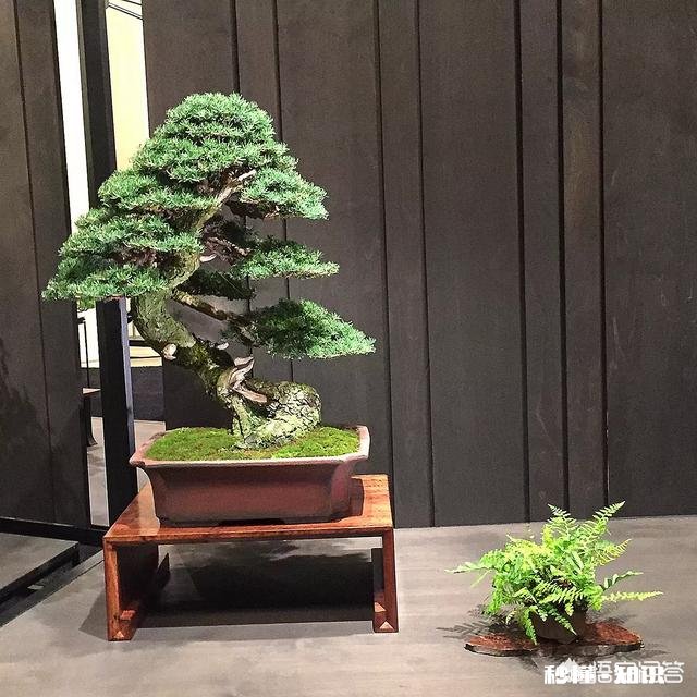 如果你刚大学毕业，手里有3万块钱，你会去干啥