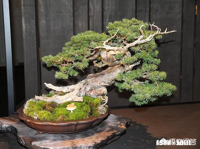 如果你刚大学毕业，手里有3万块钱，你会去干啥