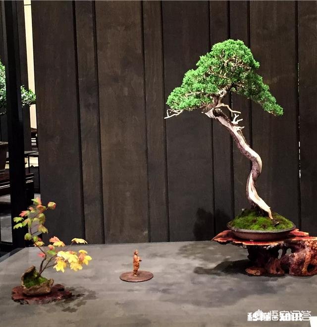 如果你刚大学毕业，手里有3万块钱，你会去干啥