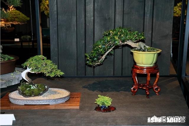 如果你刚大学毕业，手里有3万块钱，你会去干啥