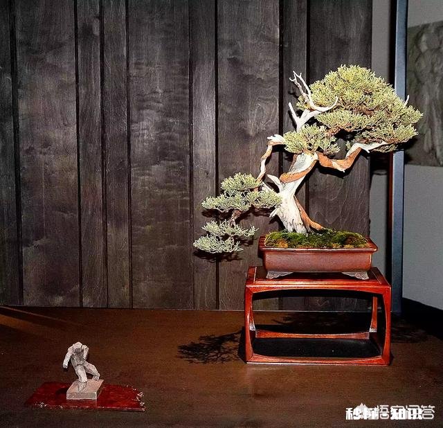 如果你刚大学毕业，手里有3万块钱，你会去干啥