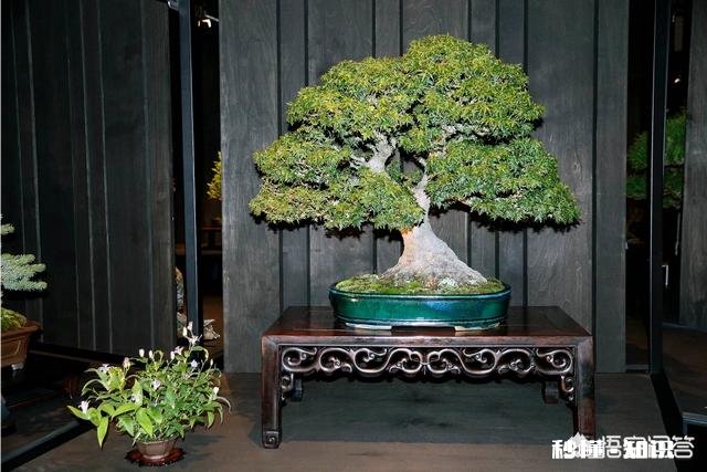 如果你刚大学毕业，手里有3万块钱，你会去干啥