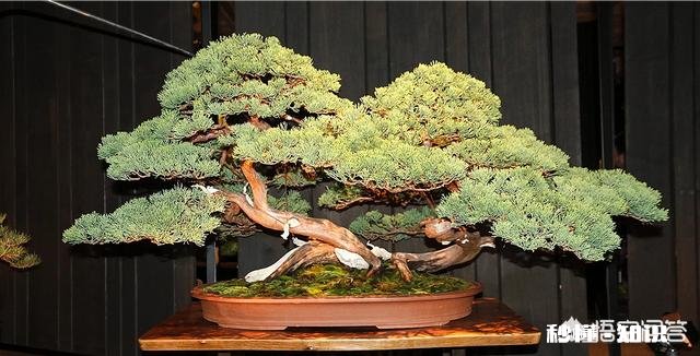 如果你刚大学毕业，手里有3万块钱，你会去干啥