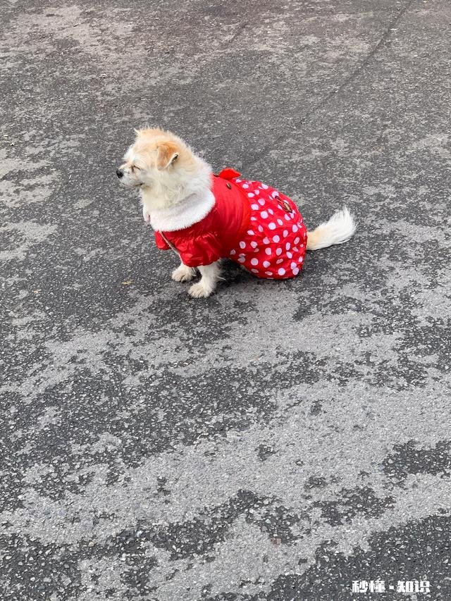 有人说“口袋没钱，又死要面子，这种人注定穷一辈子”你怎么看