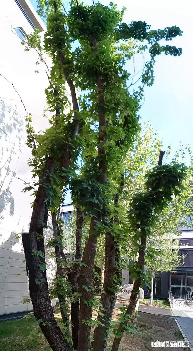 学历低爱读书和学历高不爱读书，你会选谁做你的结婚对象