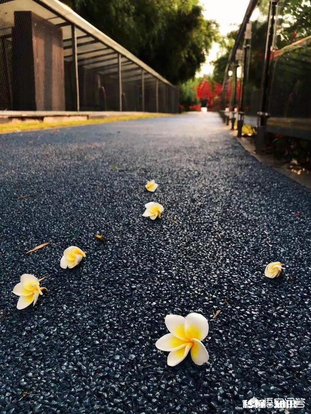 学历低爱读书和学历高不爱读书，你会选谁做你的结婚对象