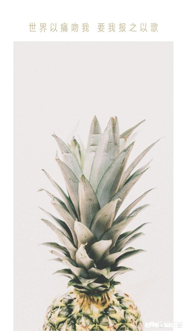 在一段恋情让你精疲力尽的时候，是否想过放弃