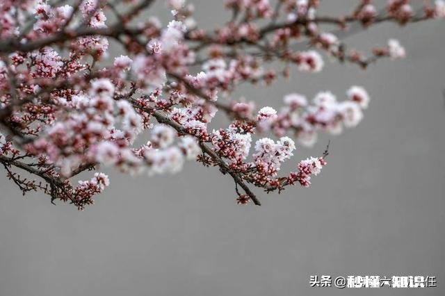 中小学生最应该学好的功课是什么