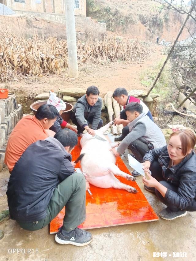 快过年了，如果你没有家，你会难过吗