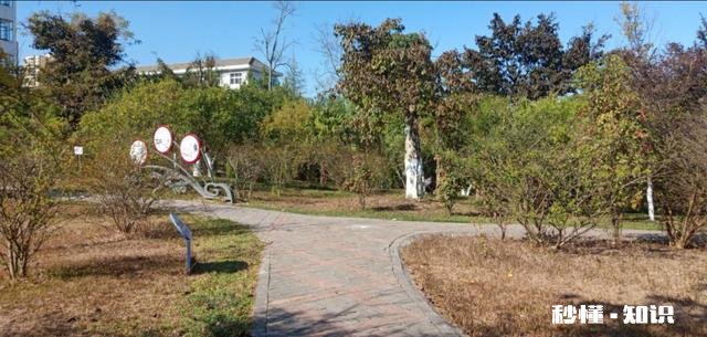 快过年了，如果你没有家，你会难过吗