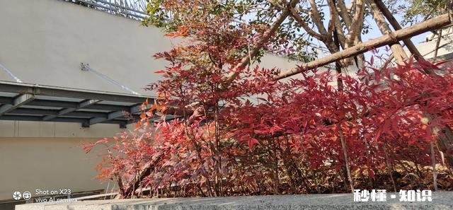 人到中年，该创业还是继续找工作