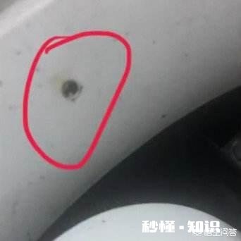 《王者荣耀》利用“网络诊断”可以判断酒店里有无摄像头，网友：涨知识了！如何评价