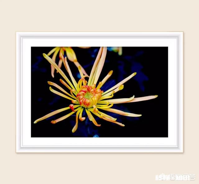 如何保持好的心态去做一件自己不想做的事情