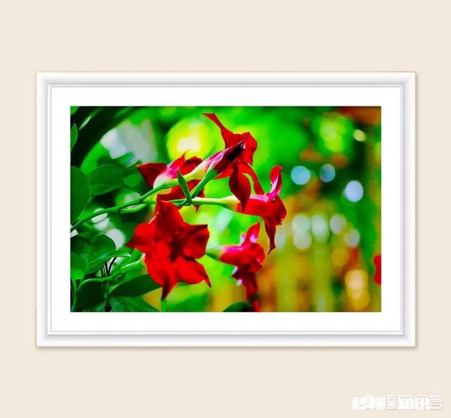 如何保持好的心态去做一件自己不想做的事情