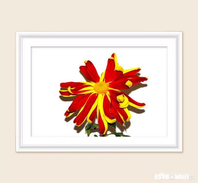 如何保持好的心态去做一件自己不想做的事情