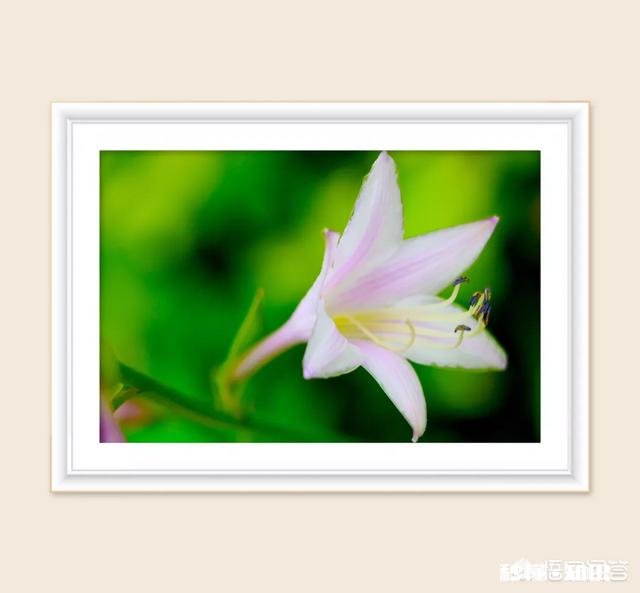 如何保持好的心态去做一件自己不想做的事情