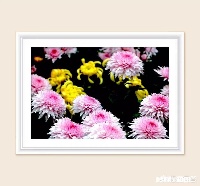 如何保持好的心态去做一件自己不想做的事情