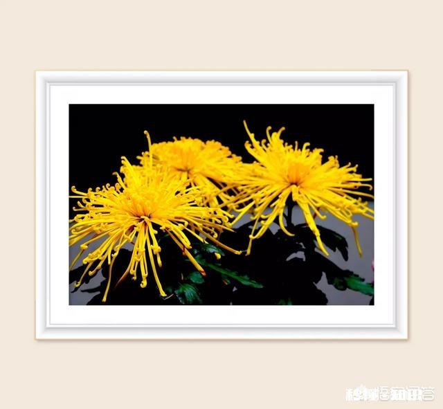 如何保持好的心态去做一件自己不想做的事情