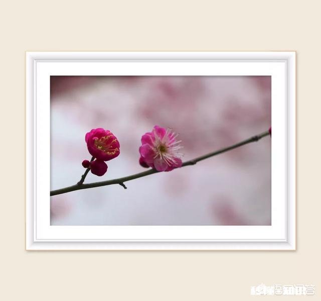 如何保持好的心态去做一件自己不想做的事情