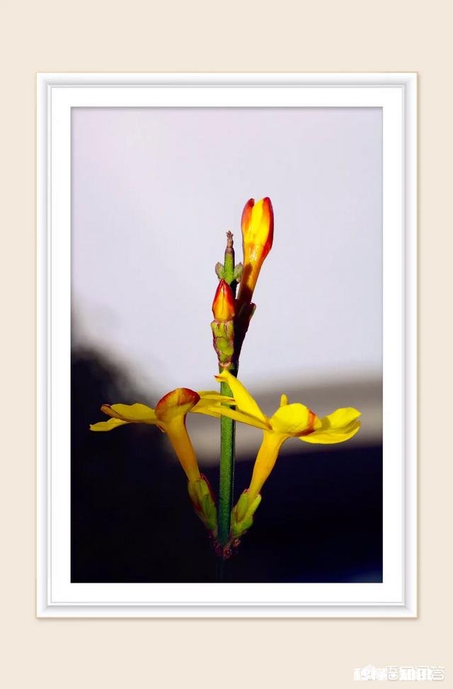 如何保持好的心态去做一件自己不想做的事情