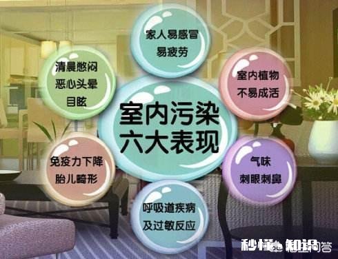 市面上那些除甲醛的产品有效吗