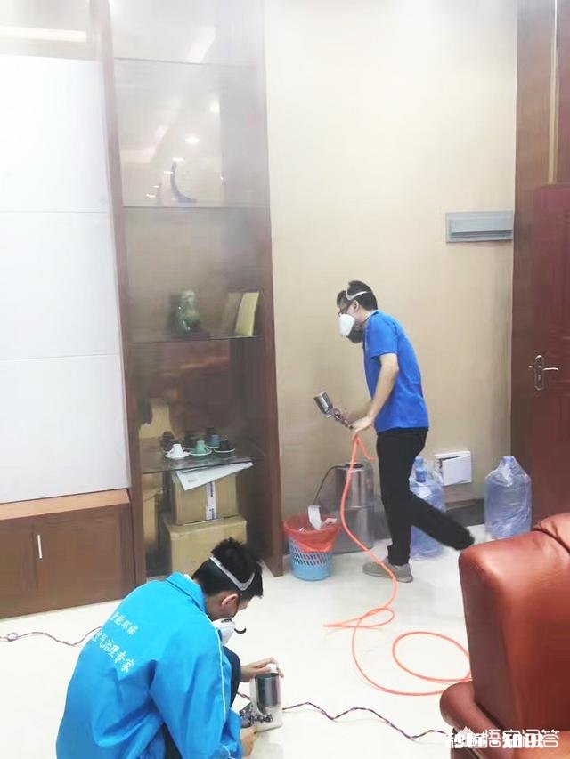 市面上那些除甲醛的产品有效吗