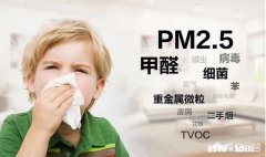 市面上那些除甲醛的产品有效吗