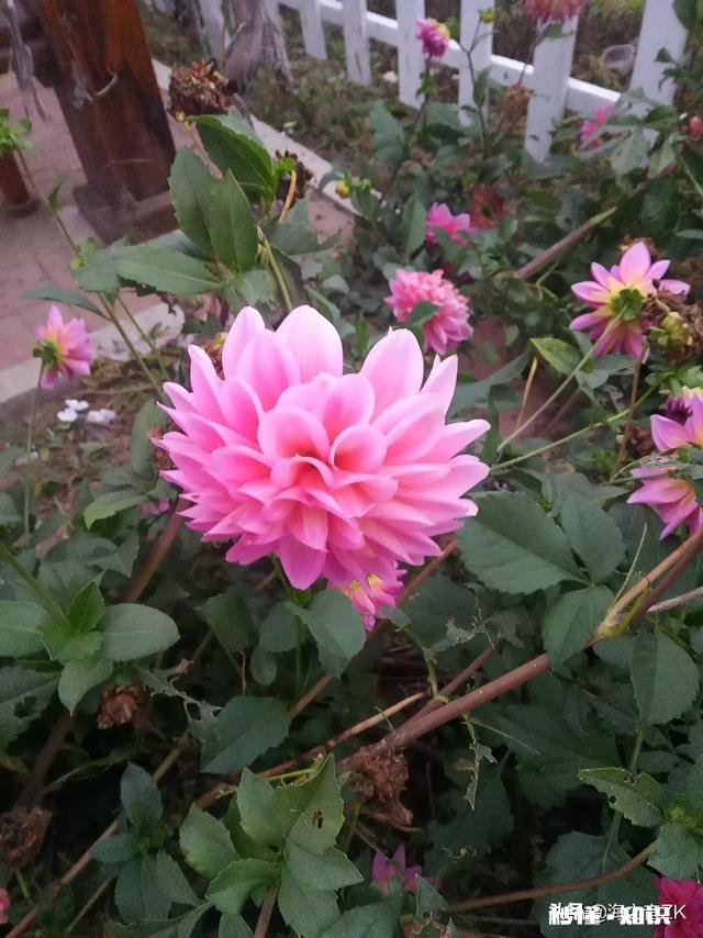 胡令能写的诗有什么特点