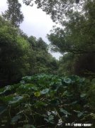 男同胞们问你们个问题。是不是男人都是很小气，就一点鸡毛蒜皮的小事生气很久