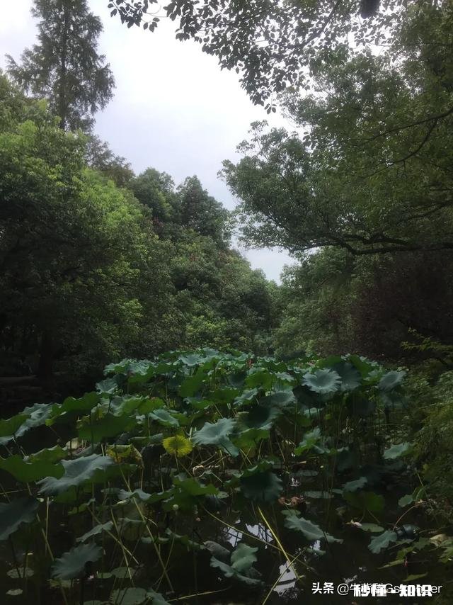 男同胞们问你们个问题。是不是男人都是很小气,就一点鸡毛蒜皮的小事生气很久