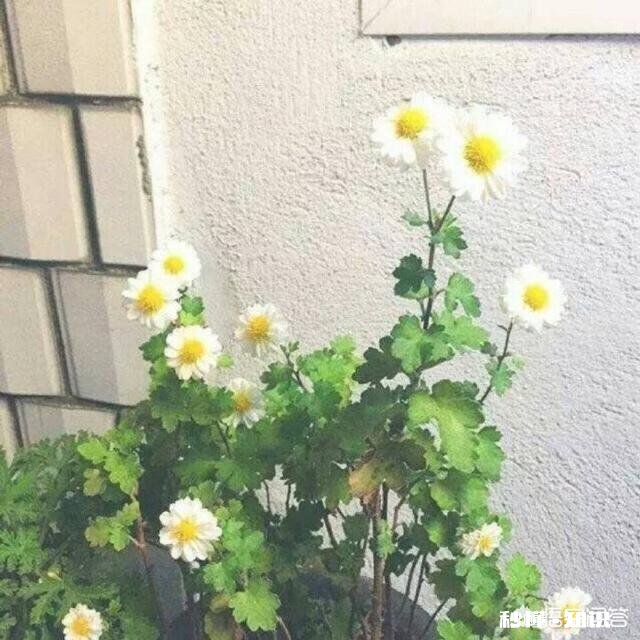 人到中年，工作不顺，总是觉得很烦躁很焦虑，家人也不理解，总觉得很孤独怎么办