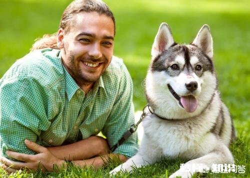 城市养狗为什么频繁惹争议现代生活中人与狗应该如何相处