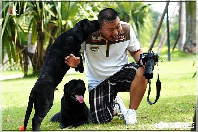 城市养狗为什么频繁惹争议现代生活中人与狗应该如何相处