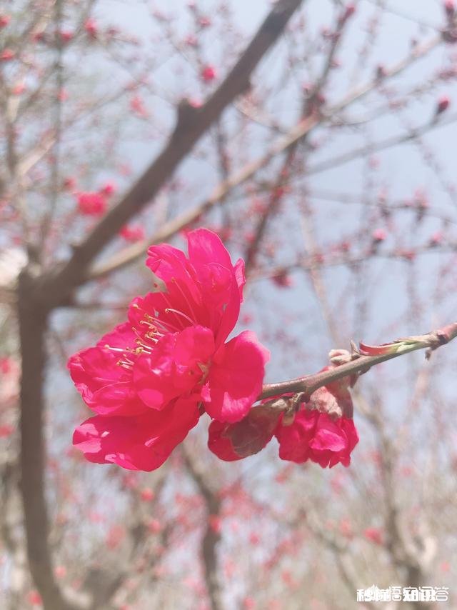 异地恋坚持的动力是什么