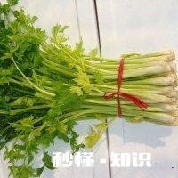 请问用什么肉和菜包的饺子好吃