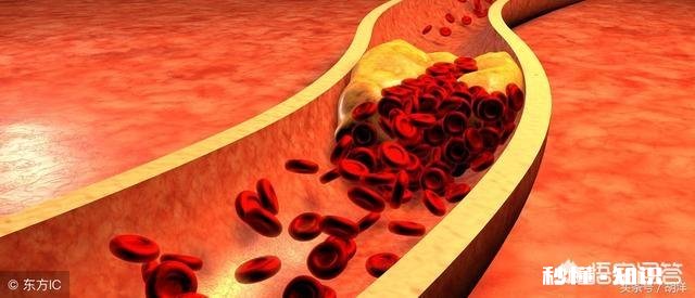 献血真的有利于身体健康吗