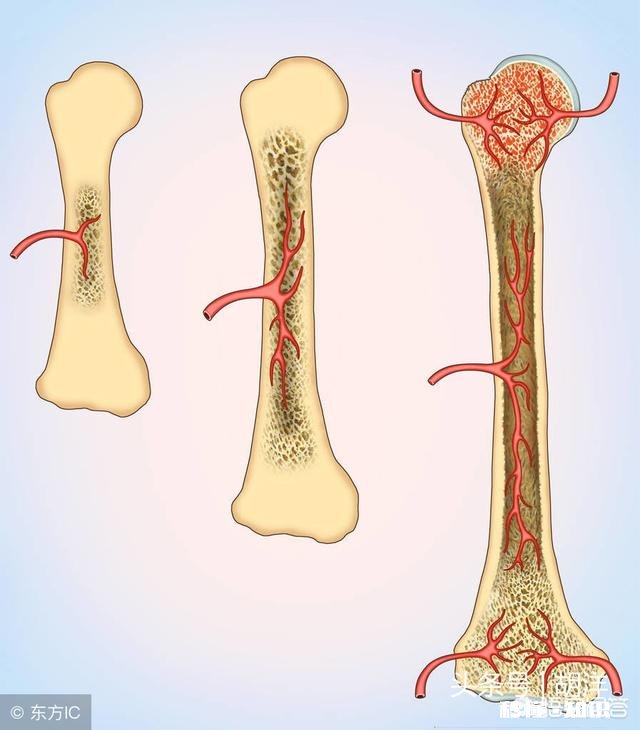 献血真的有利于身体健康吗