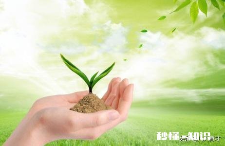 为什么很多父母明明知道自己教育有问题,却总是不愿意去学习成长