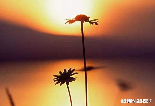 为什么很多父母明明知道自己教育有问题,却总是不愿意去学习成长