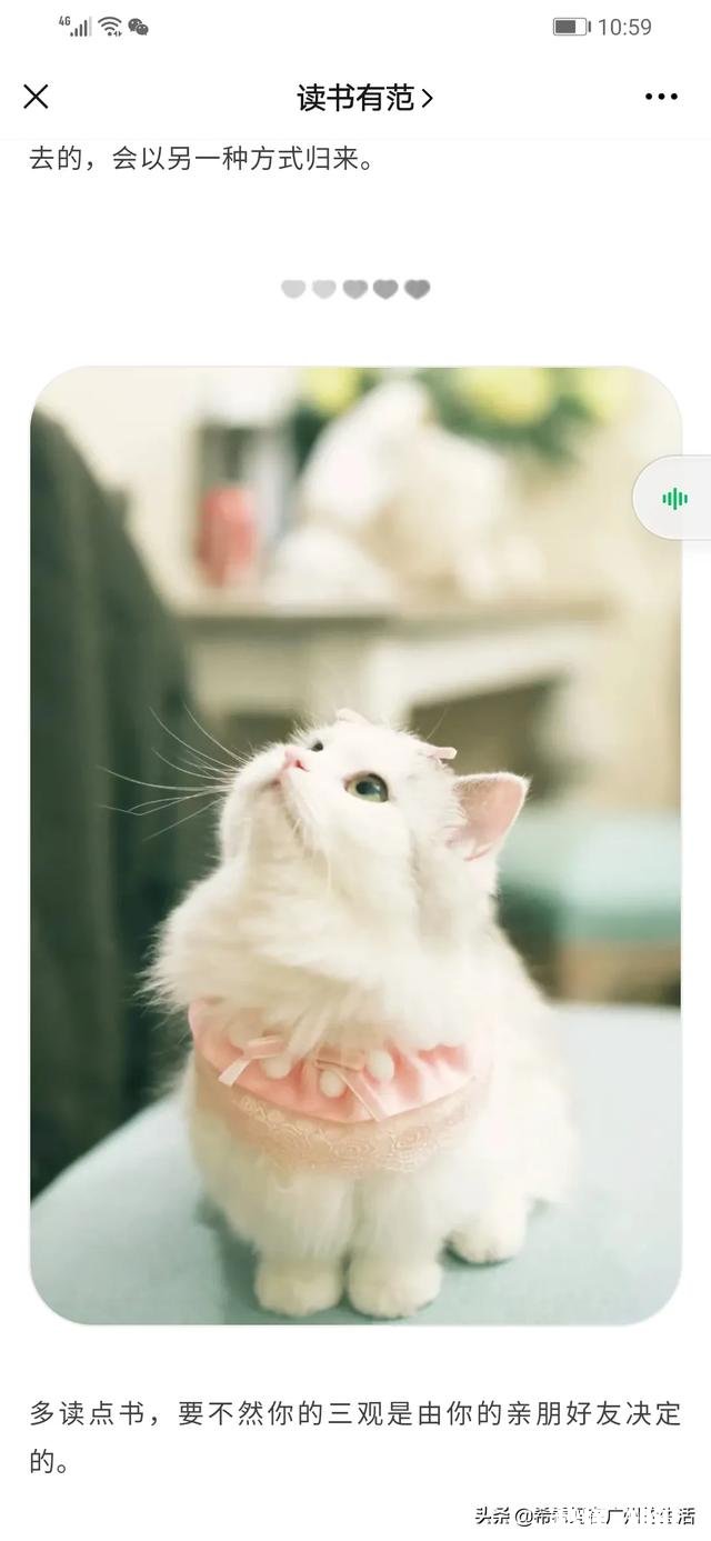 孩子从小性格倔强，决定的事情谁劝都不听，该怎么办