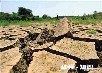 粮食浪费问为什么又开始重提